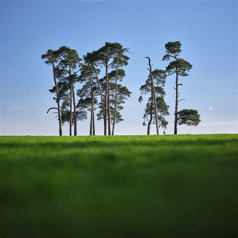 Sfondi profondità di campo paesaggio Luna alberi UK Dorset