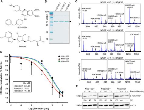 Bix 01294 Inhibits Nsd1 Nsd2 And Nsd3 A Chemical Structure Of