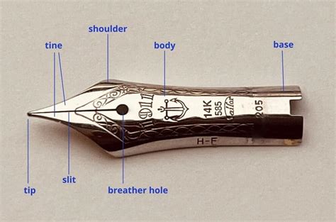 Anatomy of the fountain pen - Nibs Plus Ultra