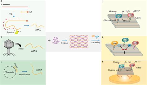 DNA Origami Strategies To Construct Flat Scaffolds For Anchoring