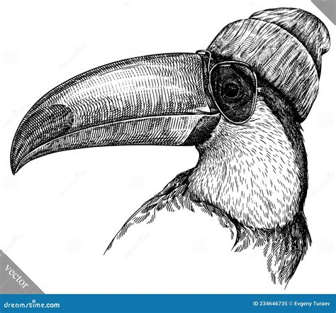 Black And White Engrave Isolated Toucan Vector Illustration Stock