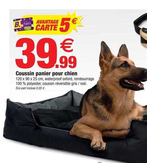 Promo Coussin Panier Pour Chien Chez Bazarland ICatalogue Fr