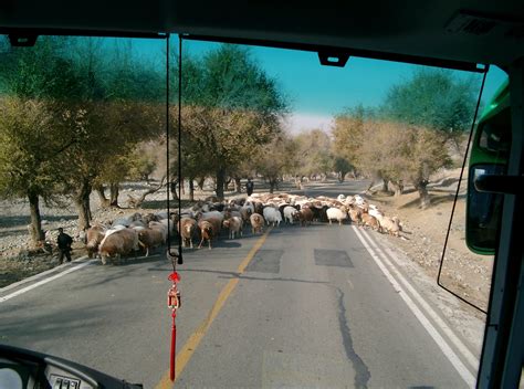 Silk Road: Mongolian Yurt – Chocoviv’s Lifestyle Blog
