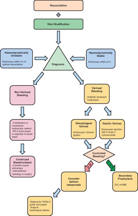 Management Of Acute Upper Gi Bleeding Bja Education