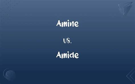 Amine Vs Amide Whats The Difference