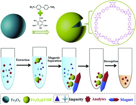 The Fabrication Process Of Fe O Tpbd And The Application To Mspe