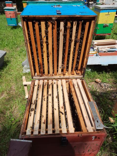 Улья для пчел stupi stubei ульи