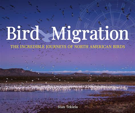 Bird Migration – The Incredible Journeys of North American Birds ...