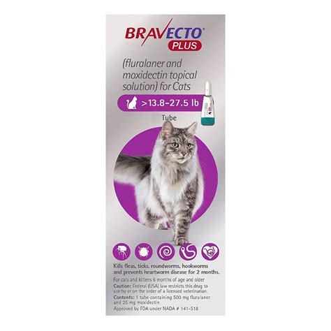 Buy Bravecto Plus For Large Cats Mg To Lbs Purple At