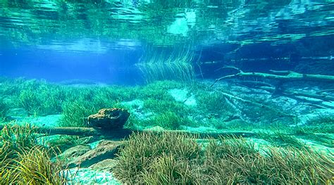 Below Rainbow River | Florida Paddle Notes