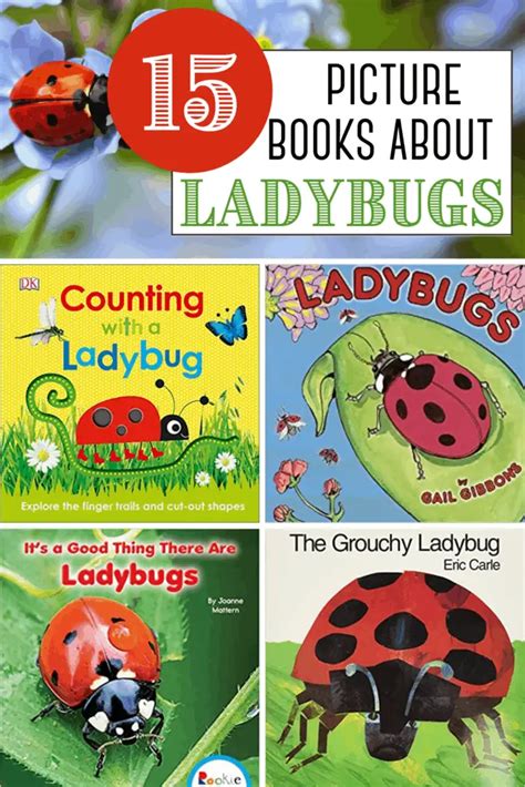 10 Lovely Ladybug Activities for Preschoolers - Education Outside