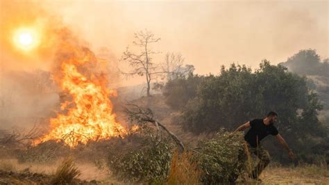 Las Devastadoras Consecuencias Ambientales De Un Incendio Forestal