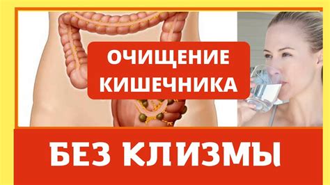 Очищение кишечника без клизмы в домашних условиях. Как делать правильно ...