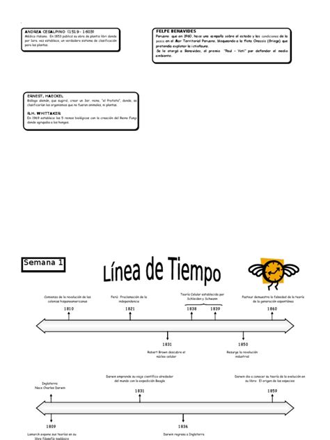 Línea De Tiempo Pdf Charles Darwin Hongo