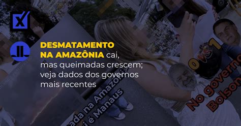 Desmatamento Na Amaz Nia Cai Mas Queimadas Crescem Veja Dados Dos