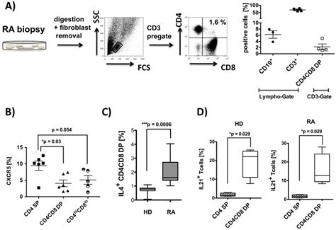 A Single Cell Suspensions Were Prepared From Synovial Biopsies From Ra