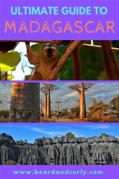 Complete Guide To Madagascar All You Need To Know Artofit