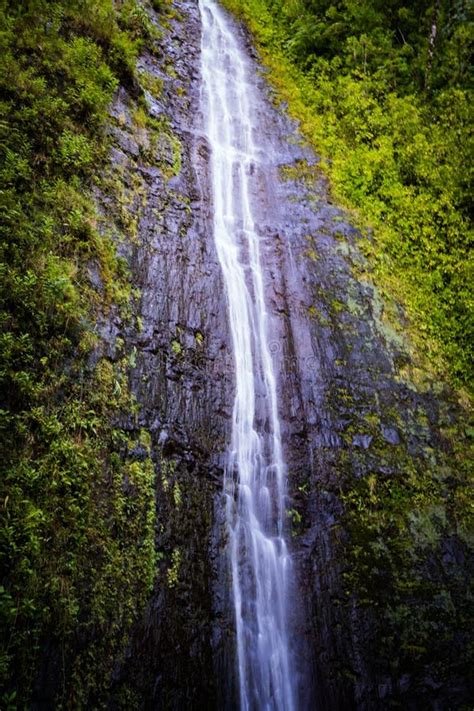 Captura Vertical De Una Hermosa Cascada En Hawaii Oahu Imagen De