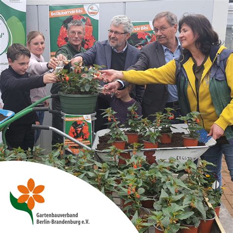 Taufe Der Pflanze Des Jahres Gartenbauverband Berlin