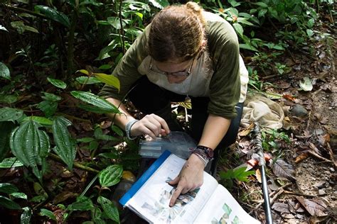 Conservation Volunteering Emma May Peruvian Amazon Creesfoundation