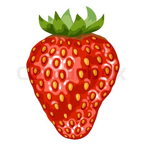 Stylized Illustration Of Strawberry Stock Vector Colourbox