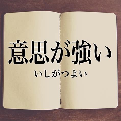 「意思が強い」とは？意味や使い方！例文や解釈 Meaning Book