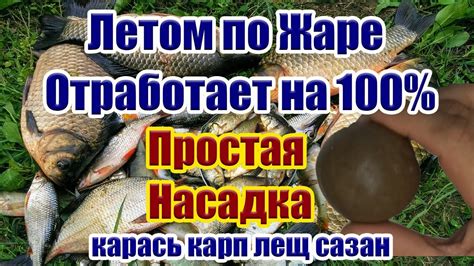 Супер Рыболовная насадка на Карася Карпа Леща Насадка для карася - YouTube