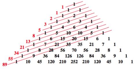 La Sequenza Di Fibonacci Libera Diffusione