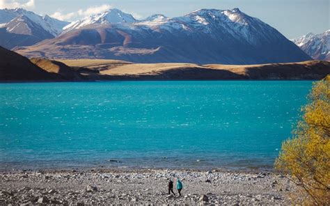 7 Best Tekapo Lake Hotels, Resorts, & Cottages in 2024