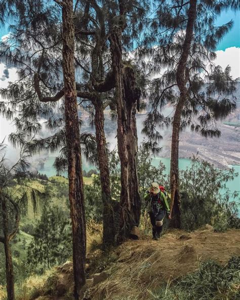 Kabar Gembira Jalur Pendakian Rinjani Kembali Dibuka Juli Ini