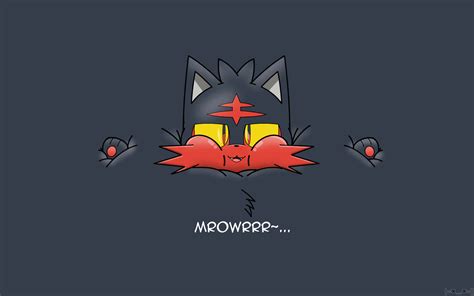 Download Litten Buried In Gray Background Wallpaper