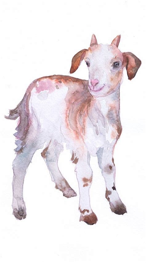 Baby Goat Art Farm Nursery Decor Watercolor Ts Painting Print Boy