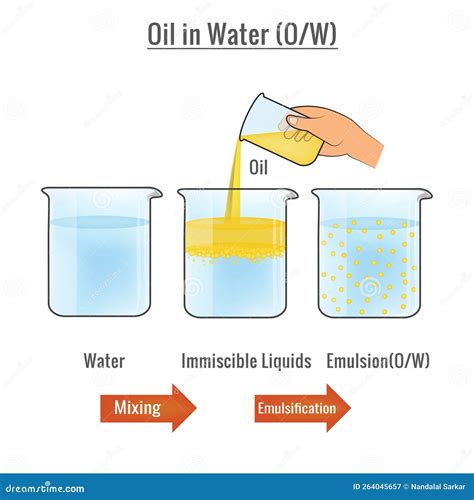 Emulsion Oil in Water Vector Illustration Stock Vector - Illustration ... 