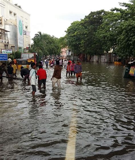 Readers Photos Of Rain Battered Chennai India News