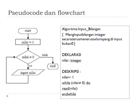 Contoh Flowchart Do While C Dd Rumah