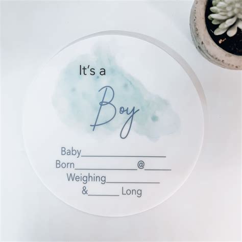 Birth Announcement Plaque Baby Boy Introducing Zebra Babies