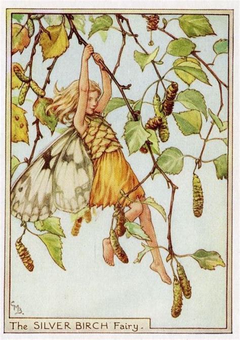 Silver Birch Flower Fairy 1950s Vintage Print Cicely Etsy Flower