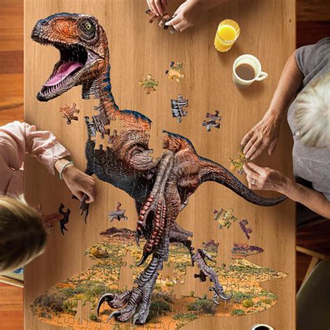 Puzzle Raptor Pi Ces Scrapmalin