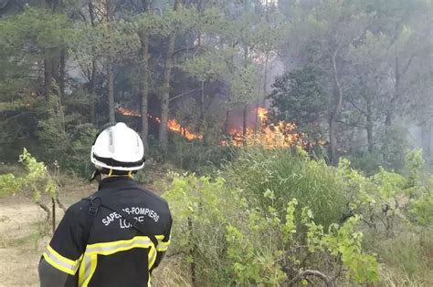 Incendies comment se protéger grâce à la carte Météo des forêts et