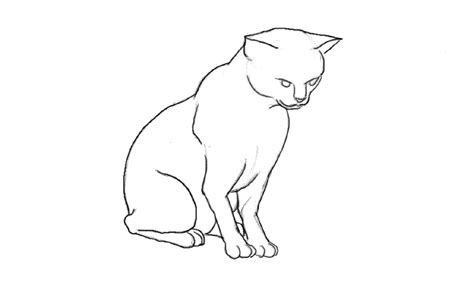 Cat animation | Animation, Cat sitting down, Walking animation