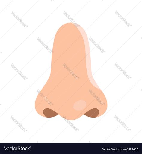 Human nose flat clip art isolated Royalty Free Vector Image