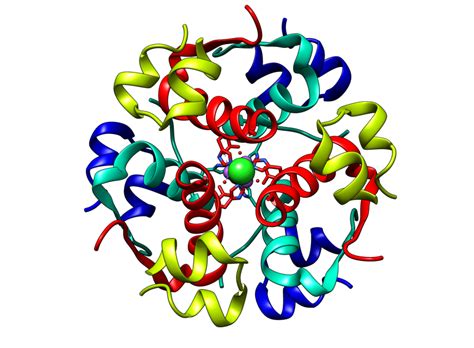 Pdb 101 Global Health Diabetes Mellitus About What Is Diabetes