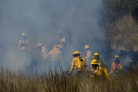 Exhorta Probosque Evitar Incendios Forestales Durante Semana Santa