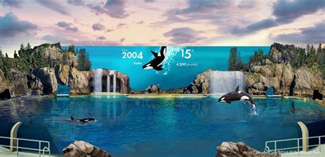 SeaWorld seeks OK for new orca encounter stage - The San Diego Union ...