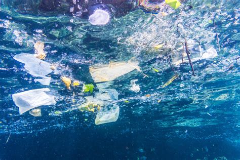 Laboratorio In Mare Per Studiare L Inquinamento Causato Dalla Plastica