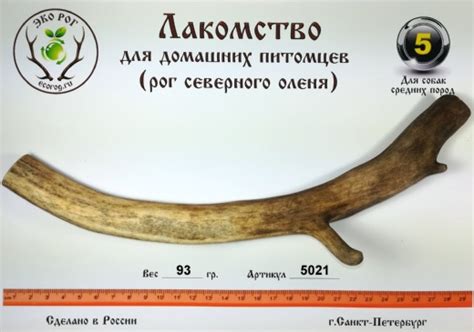 Рога северного оленя для собак средних пород - купить за 335 руб. на ВК ...