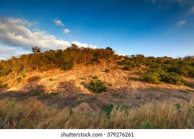 Trails Through Wild Grass Field Sunset Stock Photo 379276261 | Shutterstock