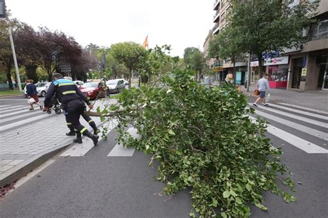 El Temporal De Viento Se Ceba Con Salamanca Salamancahoy