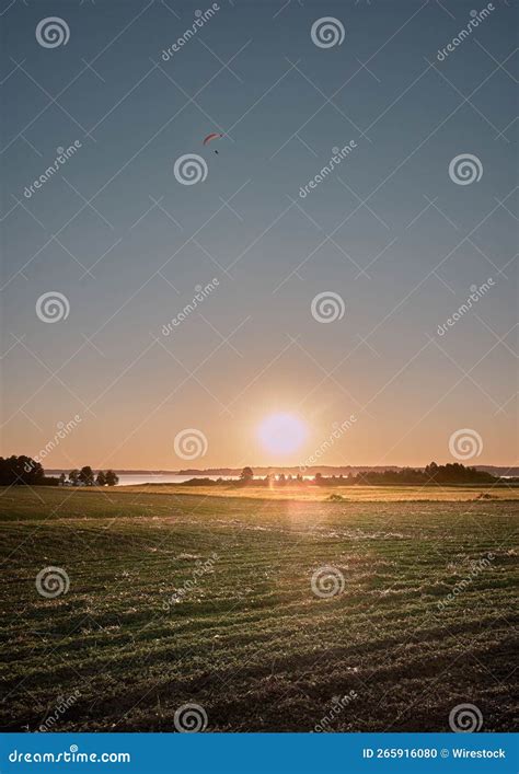 Vertical De La Puesta De Sol Dorada Que Brilla Por Encima Del Campo Con