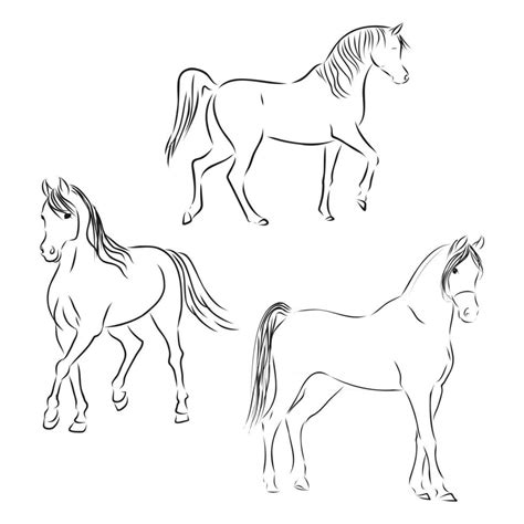 Horse Outline Vector Art, Icons, and Graphics for Free Download